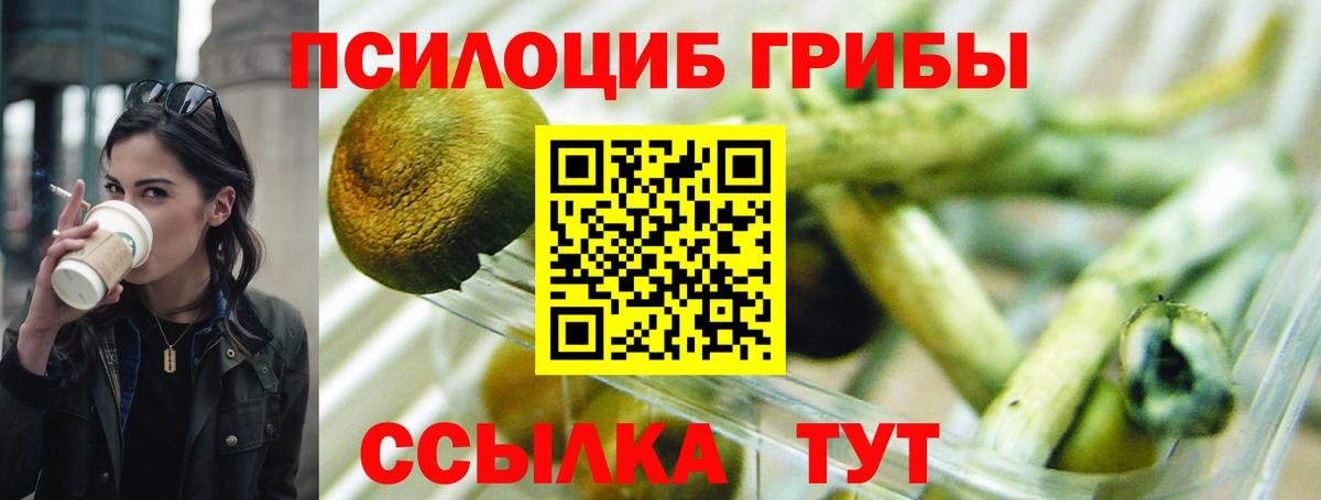 Галлюциногенные грибы мухоморы  Вход с VPN  Псилоцибиновые грибы прущие грибы  где купить наркоту  Карпинск 