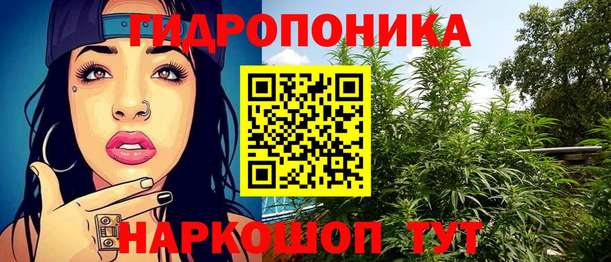 Шишки марихуана Ganja Карпинск